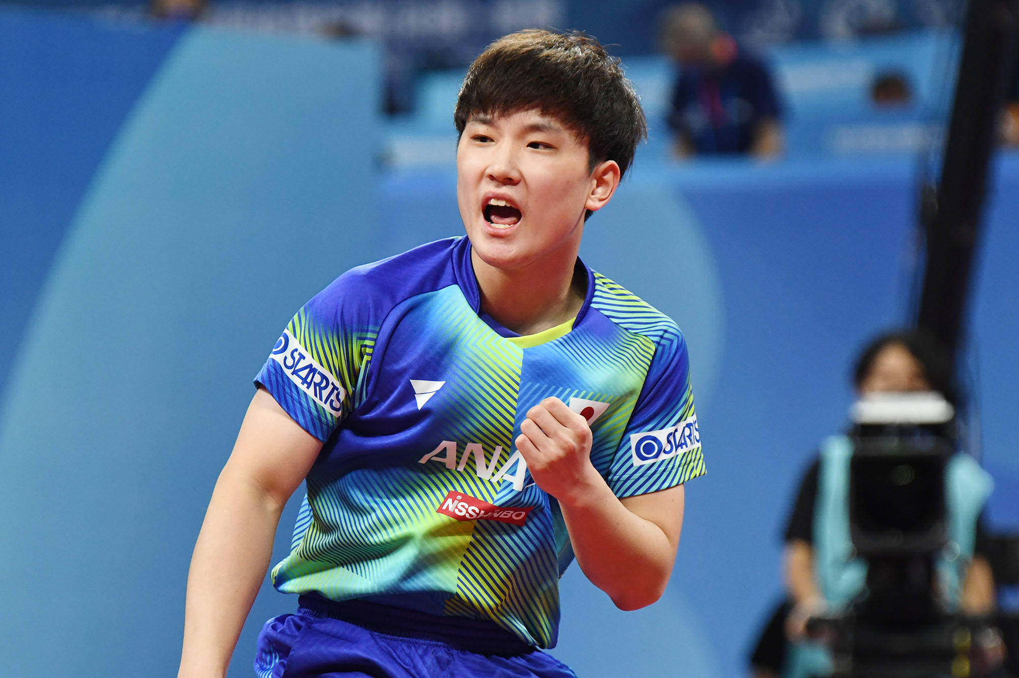 沙费道斯的 沙费道斯的