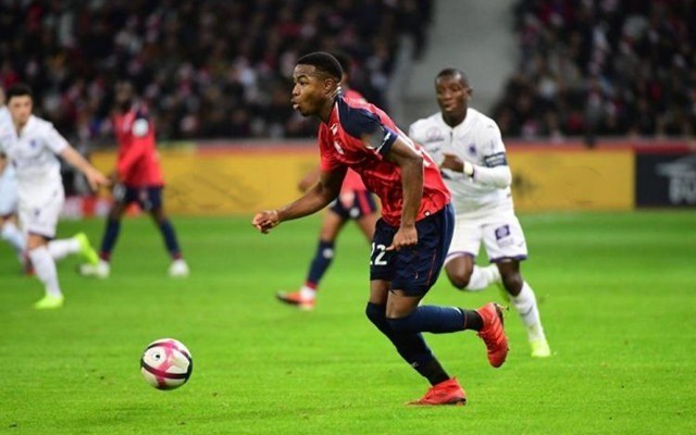 够帮助他们 够帮助他们