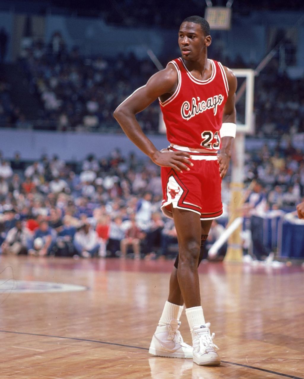 充满活力的 充满活力的